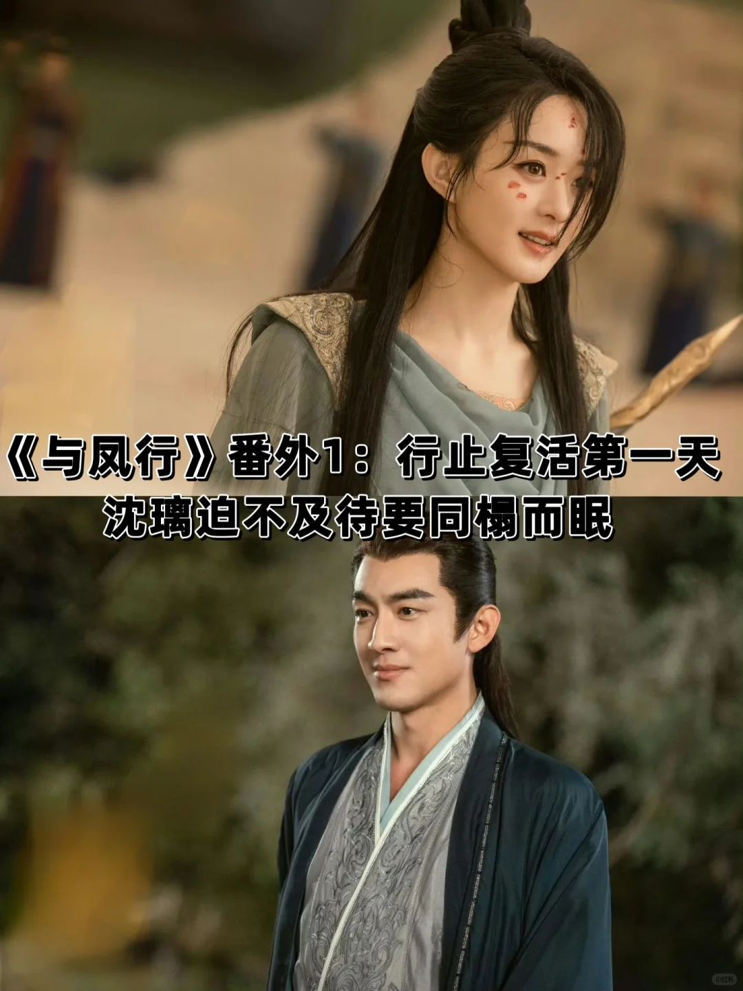 《与凤行》番外1：沈璃迫不及待要一起睡