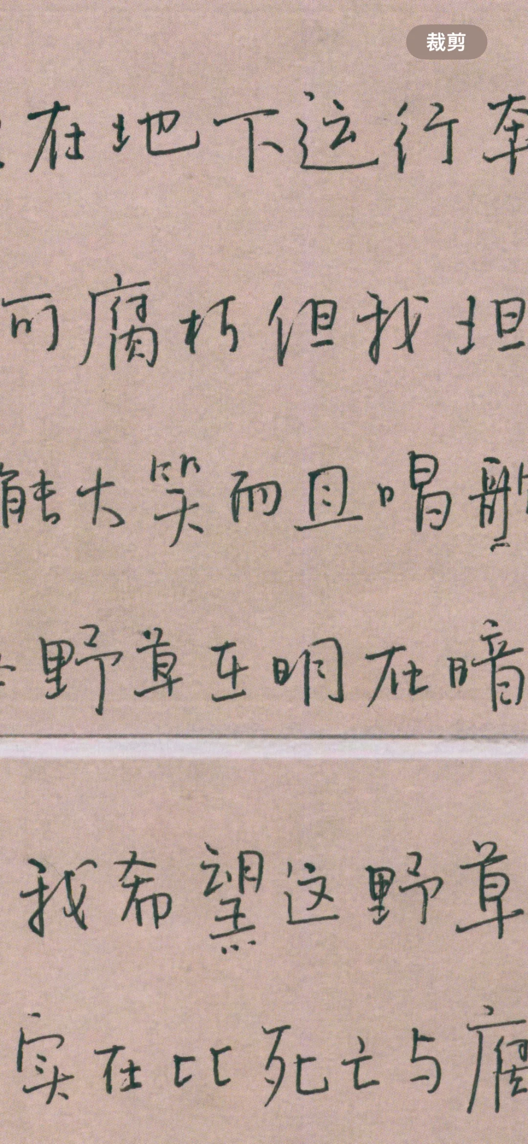 大家都想看横的 他来了