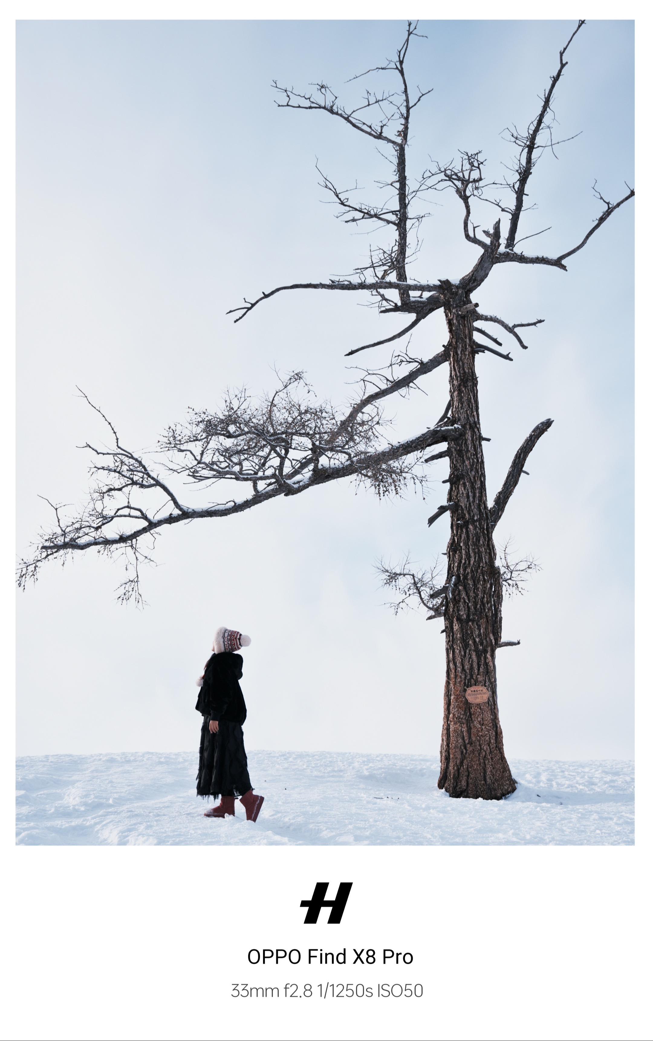 在禾木的日子就像一场蓝色的梦。我的2025在阿勒泰的初雪中降临