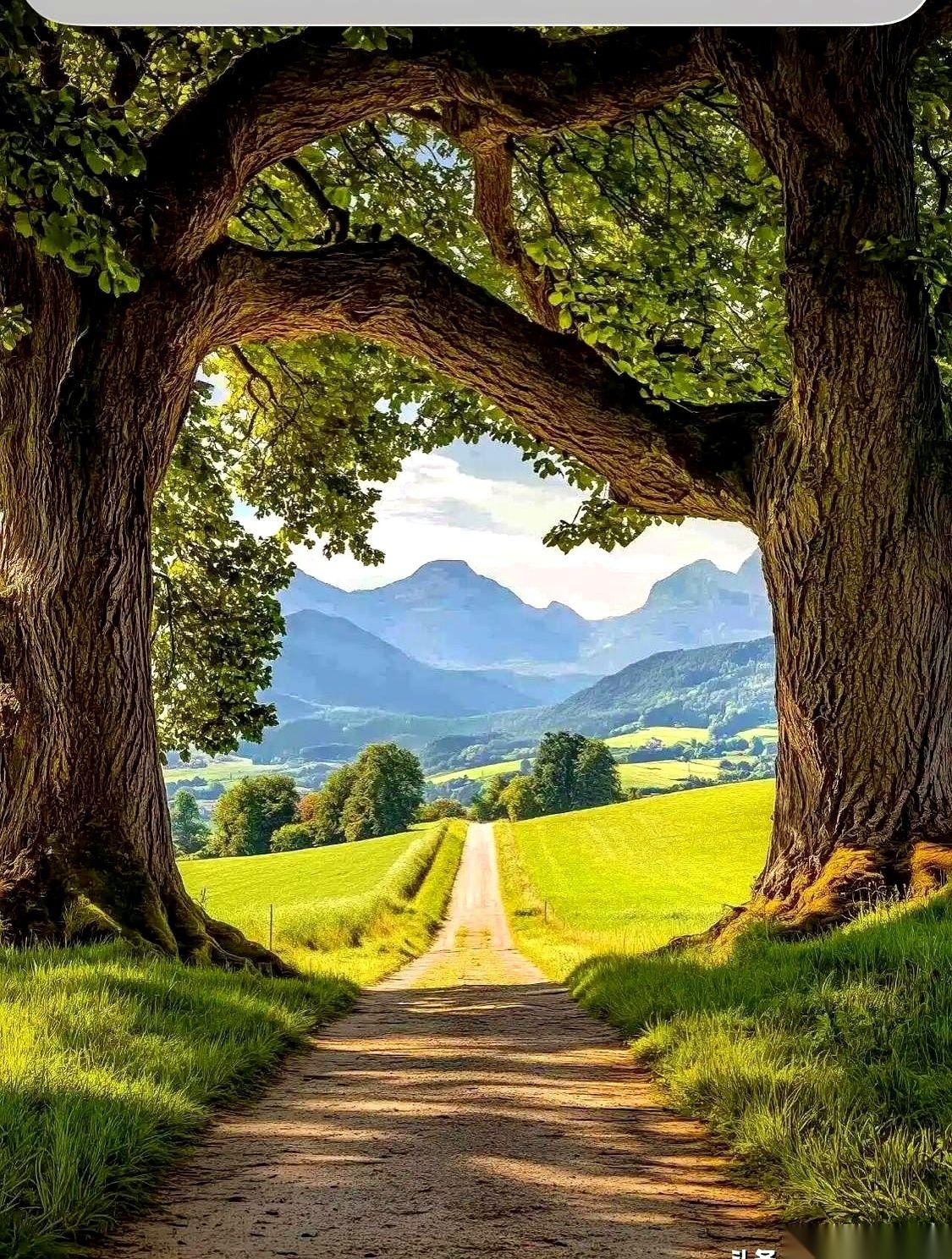 爸妈留下的那套老房子，根本不是什么遗产，那是一面镜子。
一面人性的照妖镜。
把你