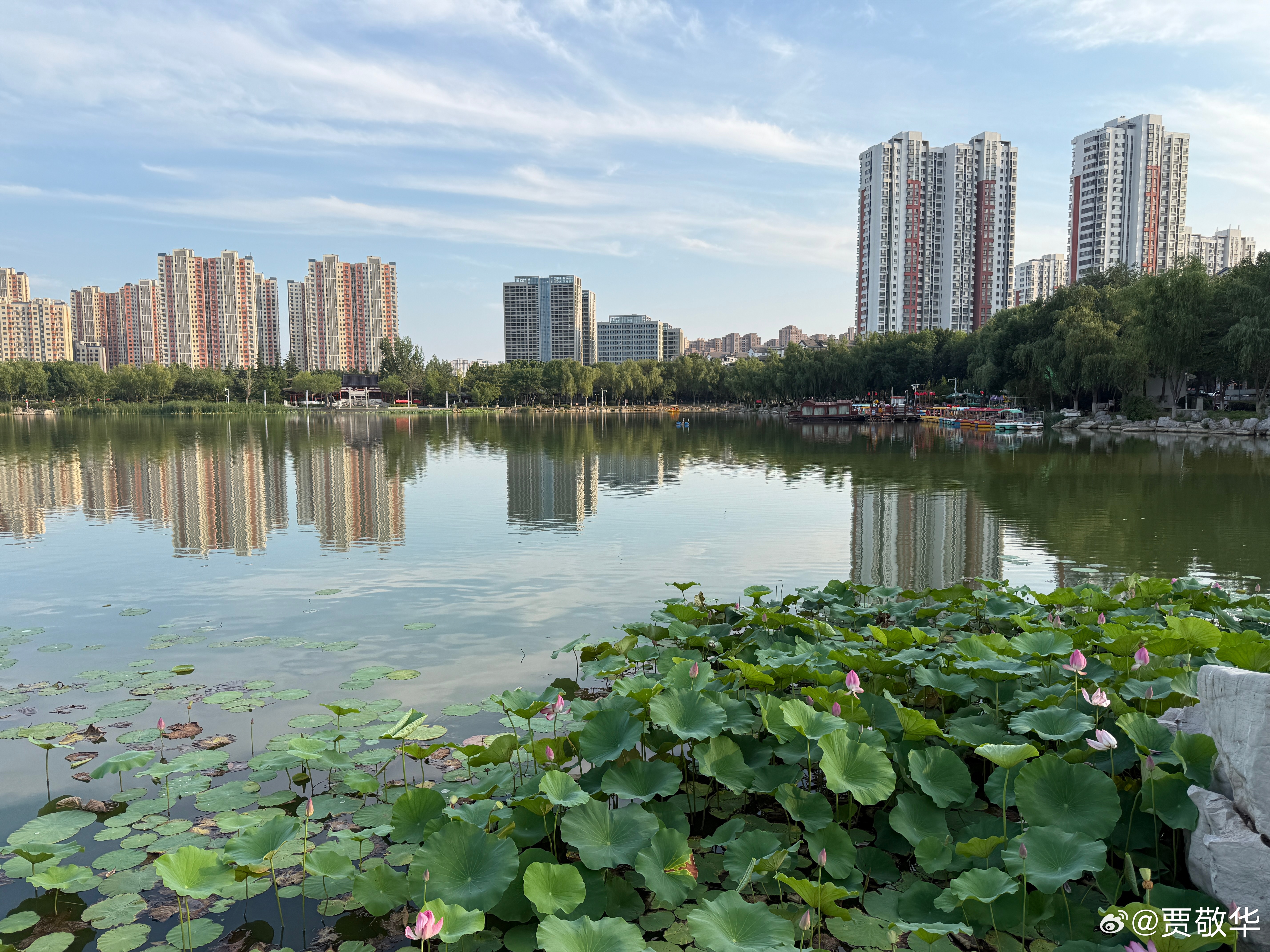 #每天早起打卡# 早上好呀，老铁们，今天直接被闹钟吵醒，昨天晚上忘记关闹钟了。 