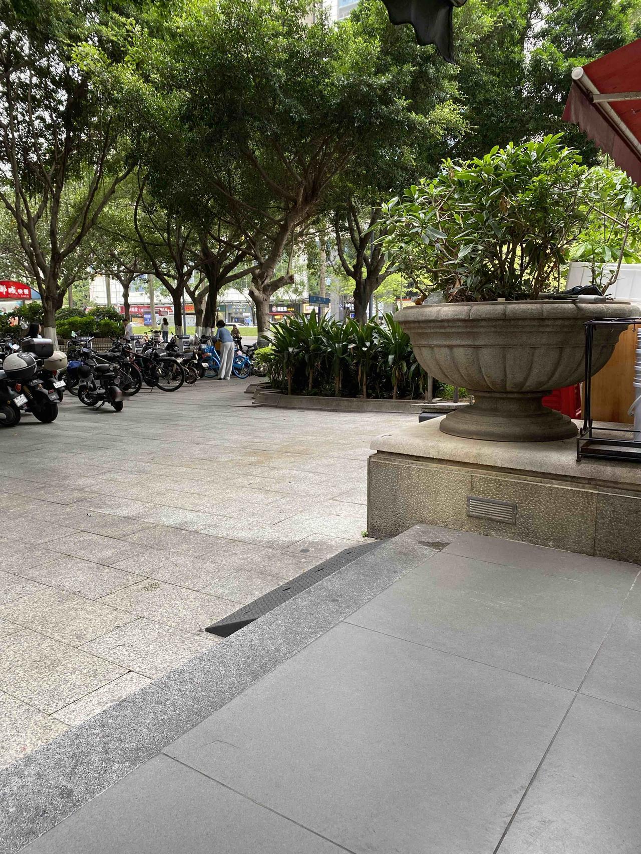 广州的榕树多，这是一大特色。榕树枝叶繁茂，一年四季都郁郁葱葱的，体现出强大的生命