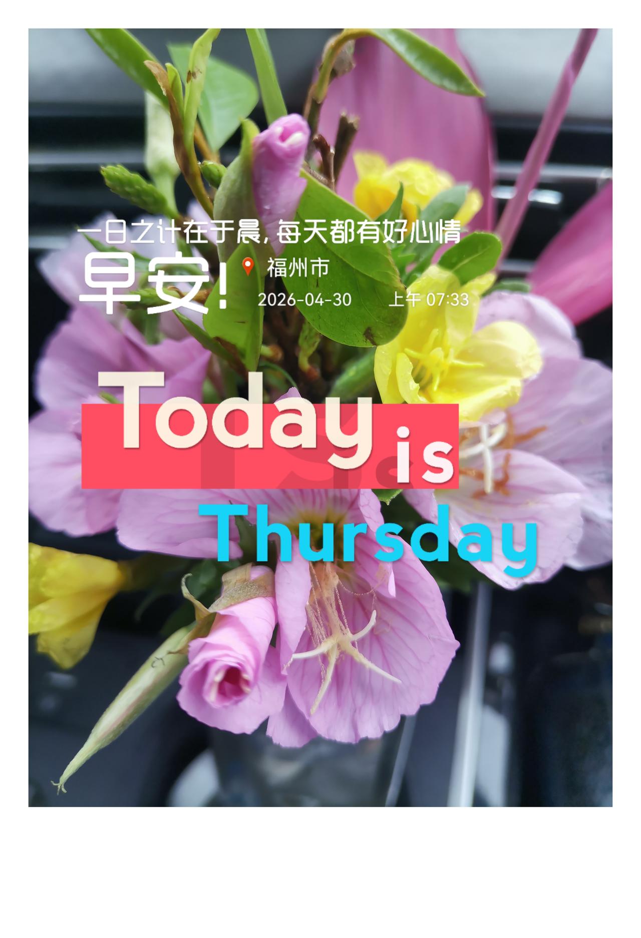 “一天之计，在于晨；一年之计，在于春；一生之计，在于勤”，这话真是太有道理了。