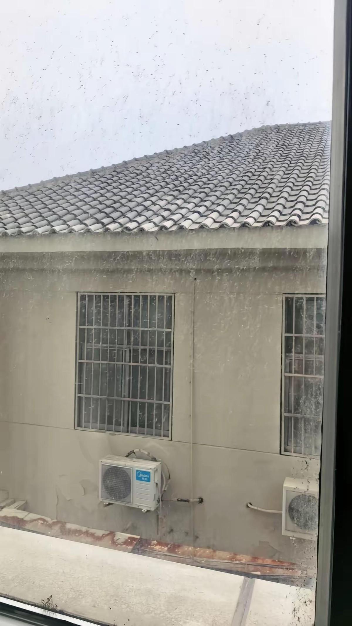 租的房子窗户对着隔壁楼顶，瓦片灰扑扑的，窗纱上全是黑点和虫子尸体，擦都擦不干净。