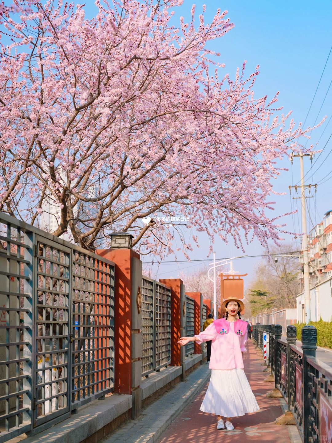 3.15实拍📷实探北京5️⃣个已开花拍照地🌸❗️