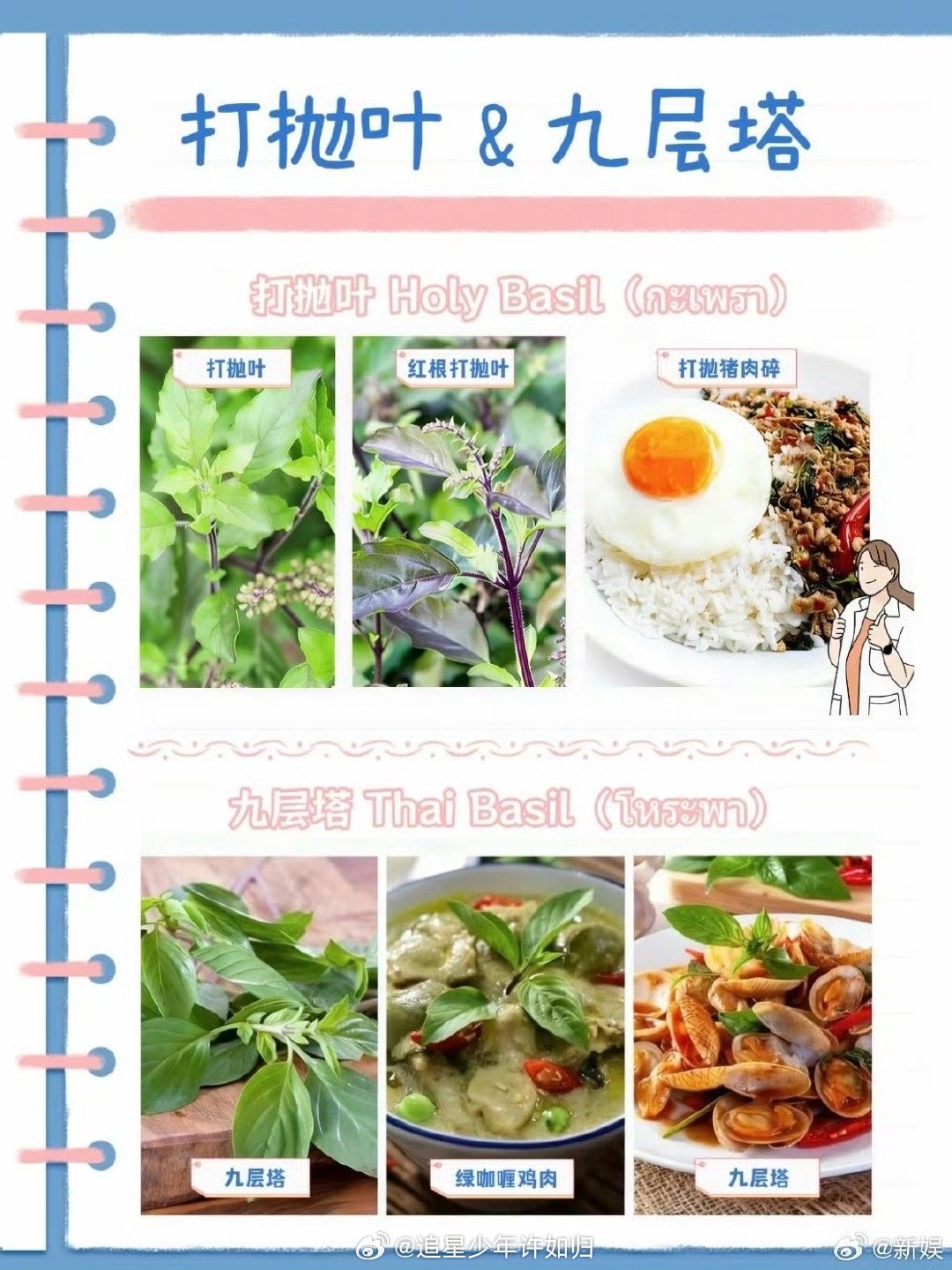 你吃的打抛饭可能不是泰国味 打抛饭的买家秀和卖家秀，原来差在叶子上。泰国的打抛饭