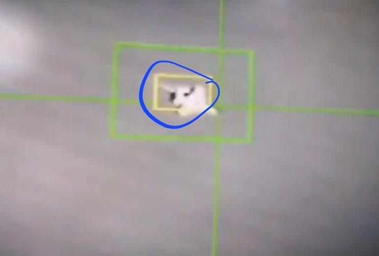 “又击落一架F-35？伊朗公开击落美军战机过程，导弹命中后，战机坠入大海！”央视