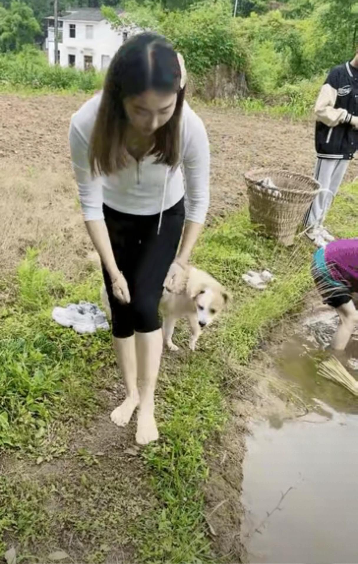 城里的媳妇学插秧，比读书还难。行列对齐，深浅一致，弯腰曲背，移步缓慢，不容易。