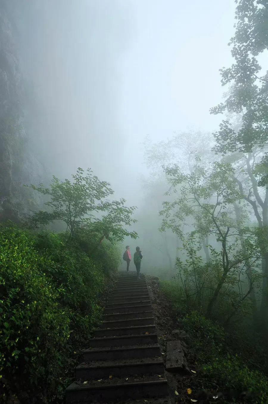 山巅之上，心随云起。汉中的高山秋雾