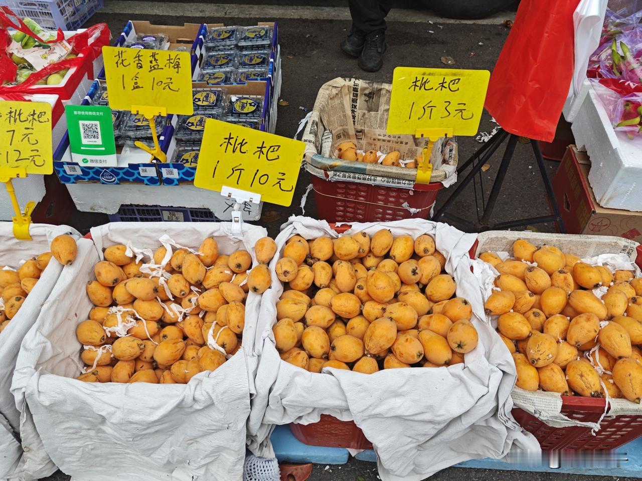 在福州生活的乐趣，就是把日子过得松弛又舒服🌿
逛不完的免费公园，走不完的江滨绿