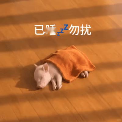 分享几个超实用的动态静态表情包 