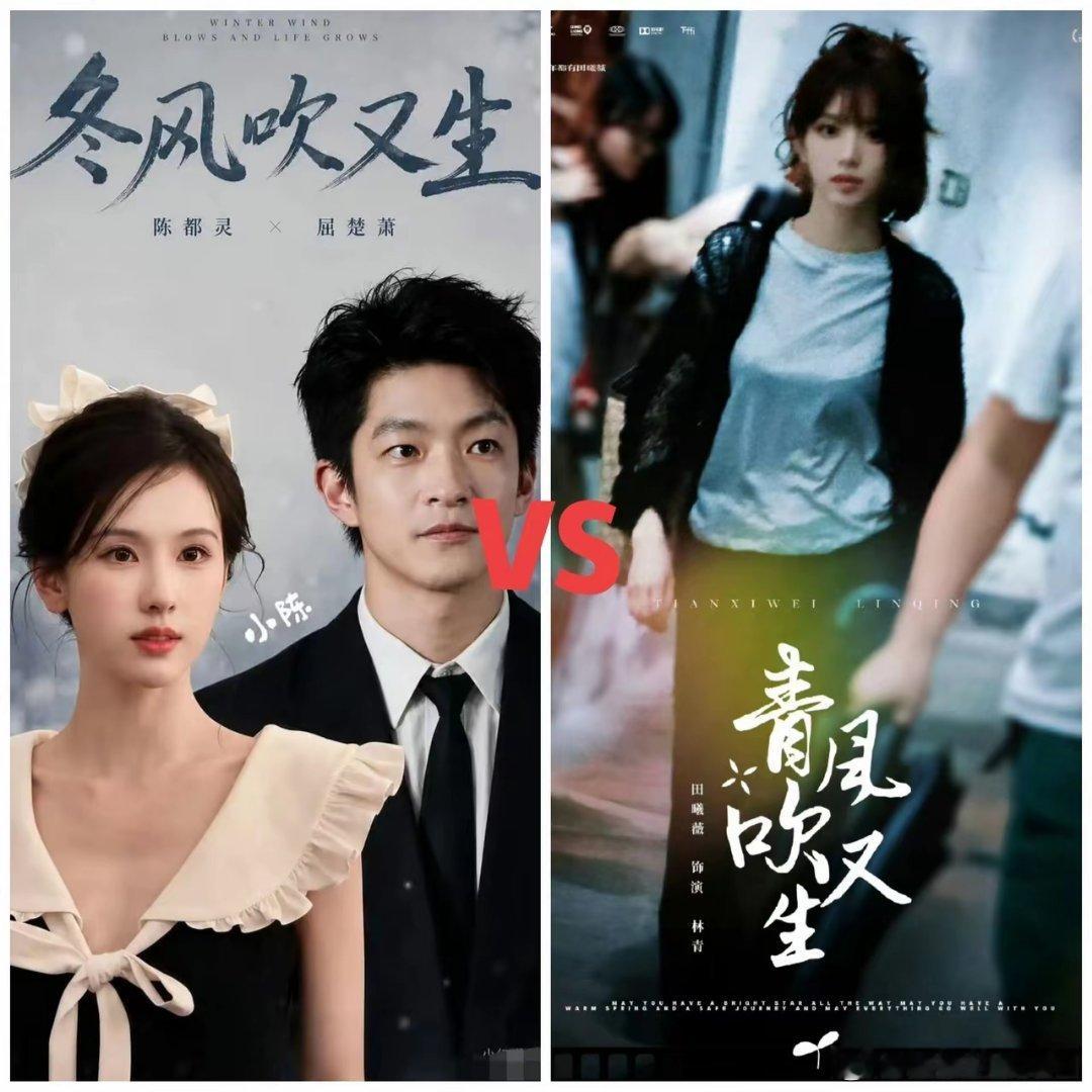 一字之差，差点串频！这波到底是“冬风”还是“青风”？陈都灵、田曦薇两部新剧，让人
