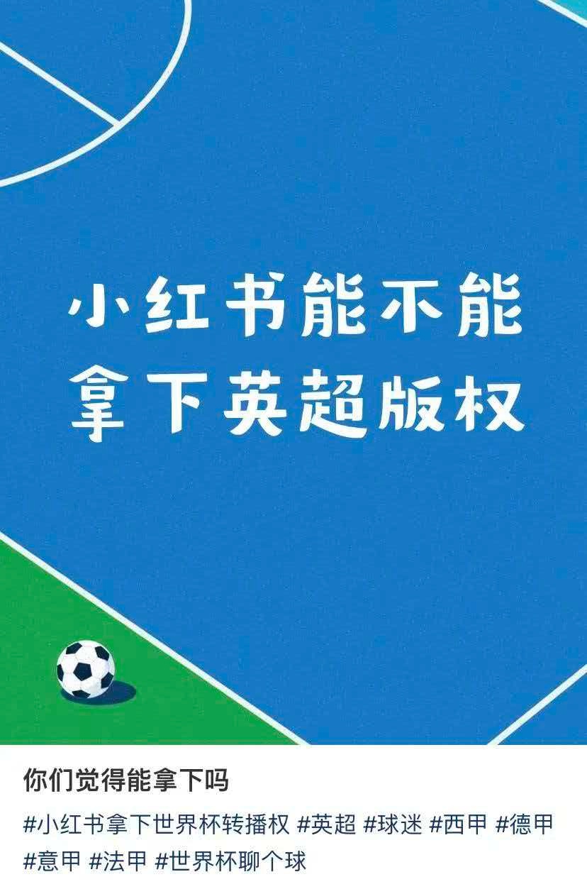 世界杯结束后英超欧冠又来了 接网友的许愿，希望接下来某书能拿下更多联盟代理，看到