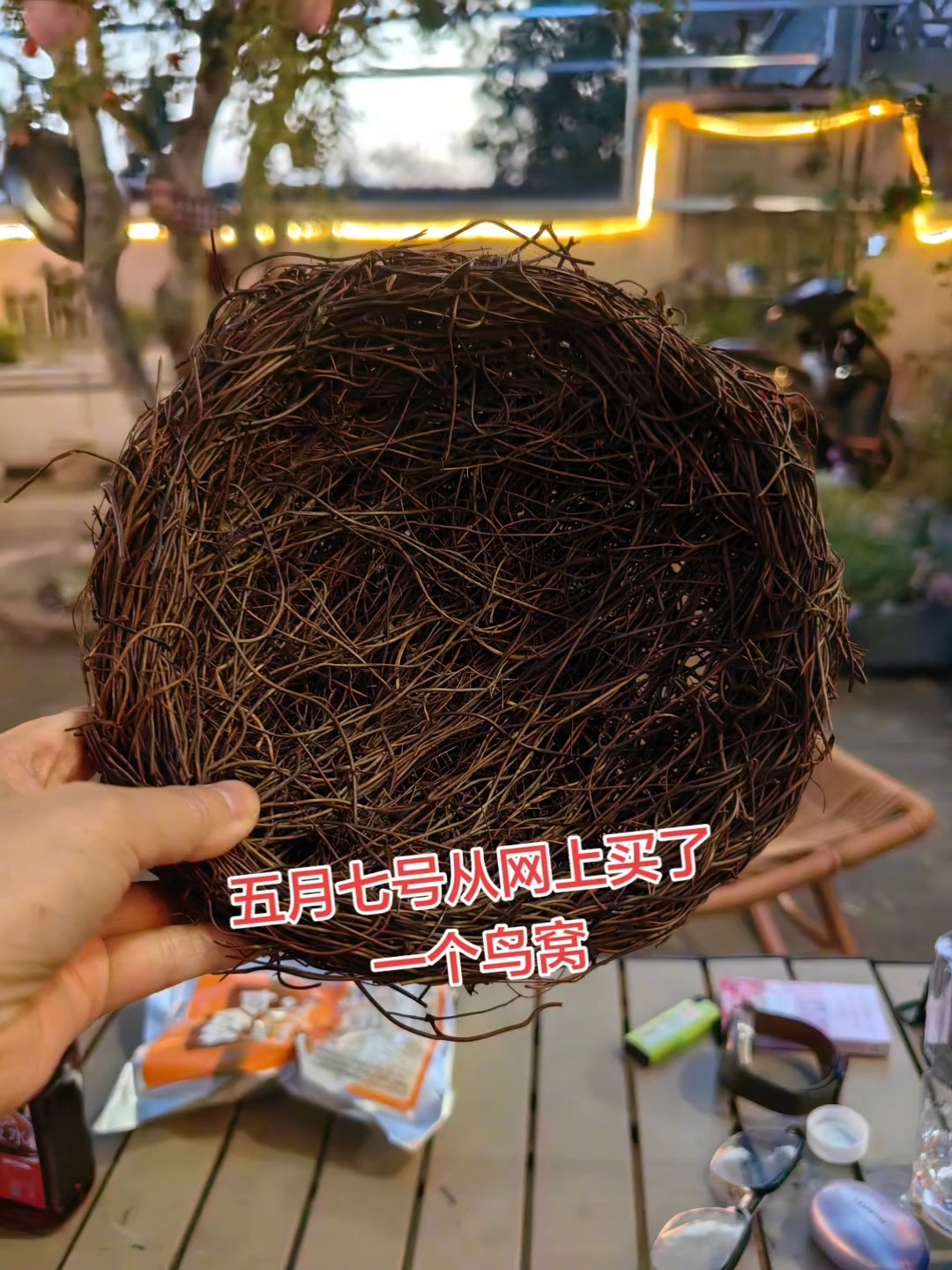 你就惯着它吧 