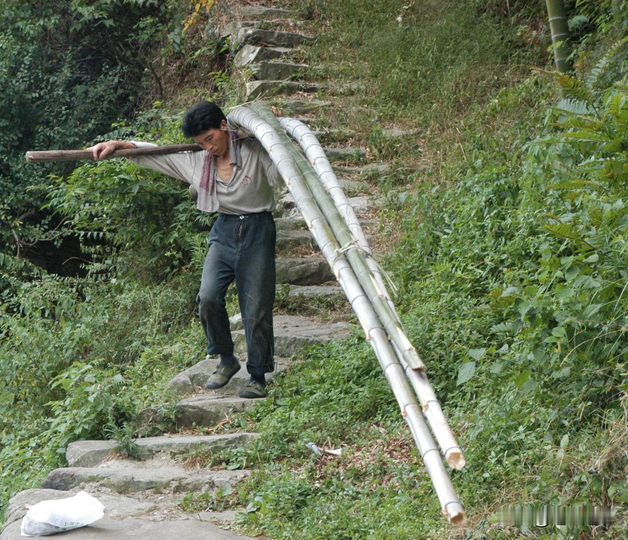 【山间竹海伐竹挑竹人，时代更替叹人间变迁！】这三张照片摄于2010年盛夏，地点在