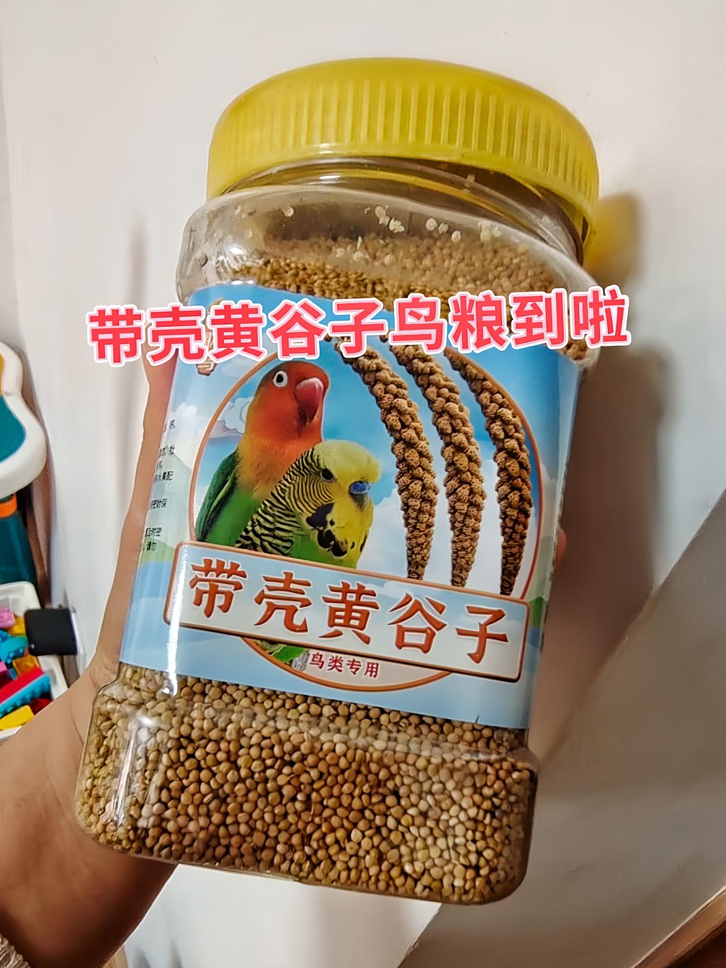 想让鹦鹉吃得健康又开心？试试咱家带壳黄谷子！天然带壳，鹦鹉啄食时既能磨...