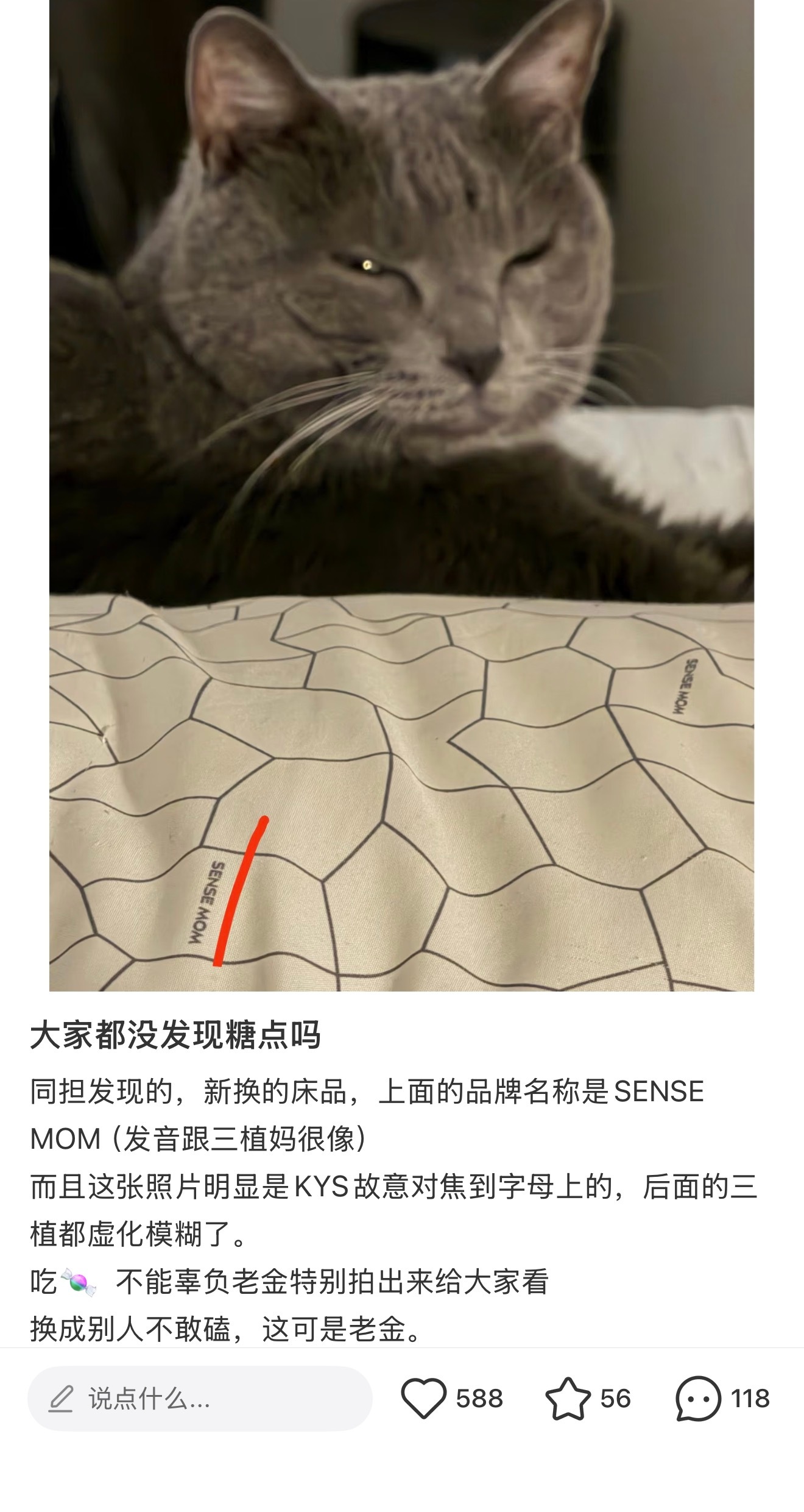 龟成这样了[泪奔] ​​​