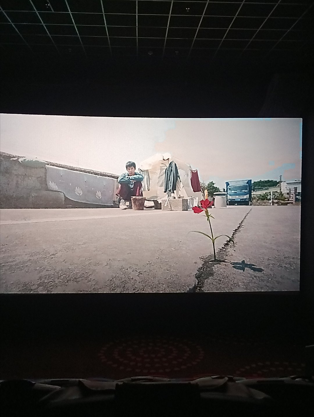 爱是愤怒（2026) 我的评分：电影爱是愤怒今日碎碎念⛅今天是6.19的早上，我
