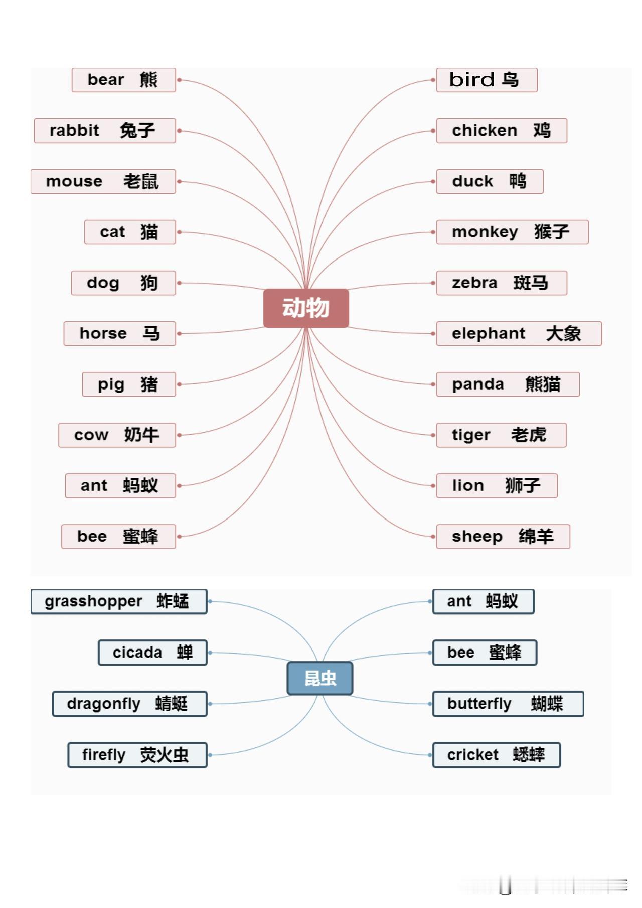 英语必考800词(思维导图)