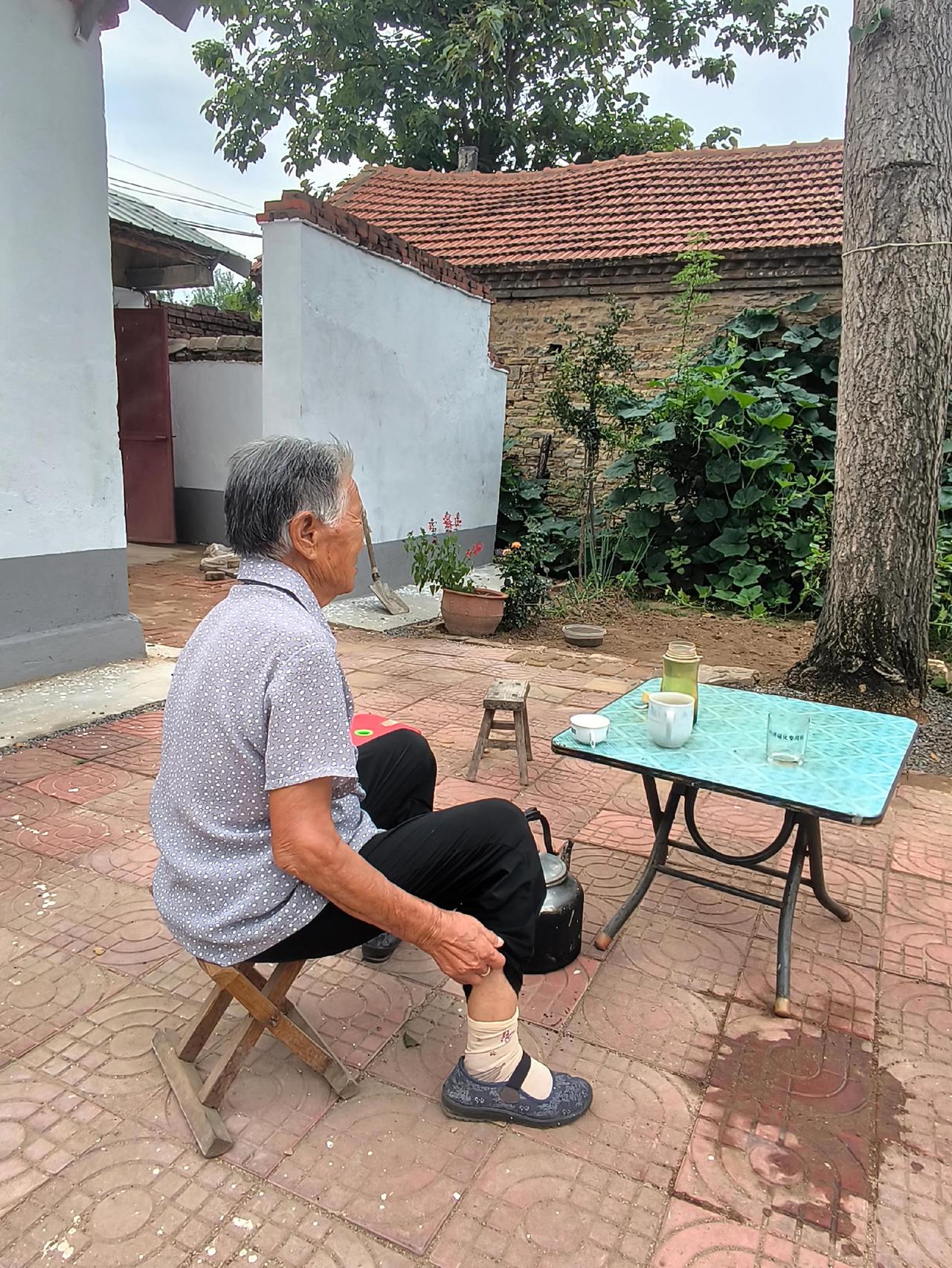 母亲的小院子。
