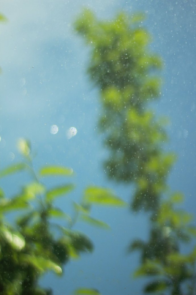 人生犹似西山日，富贵终如草上霜。——李叔同 