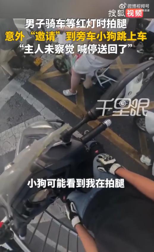 拍腿就是暗号！河南，一男子骑车等红灯，因天气炎热，他下意识地拍了拍大腿。没曾想，