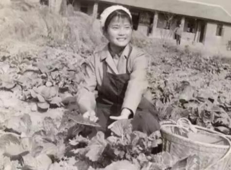 1971年，大队副主任一眼瞅见孤零零躺在床上的马琳，又瞅瞅知青点没有其他人，开始