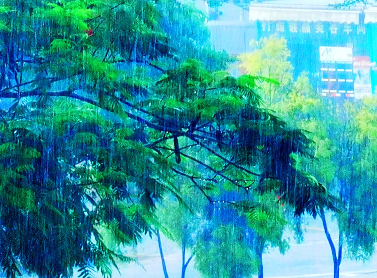 中山今年首场雷雨来了！中山天气剧烈变化，前两天的艳阳高照将被雷雨大风取代。3月4