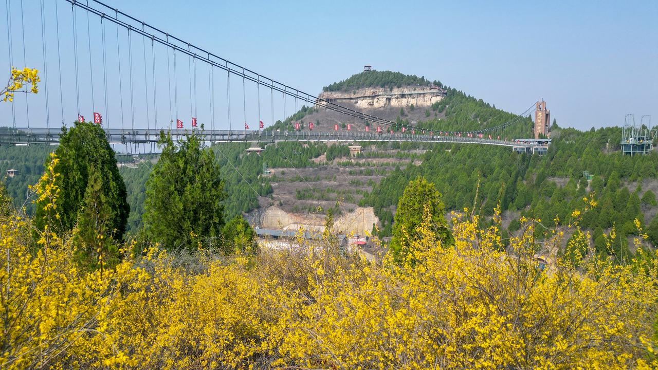 想了一百个关于春天的文案，都不及这一刻石崮寨的连翘花开。

不必远行，不必奔波。