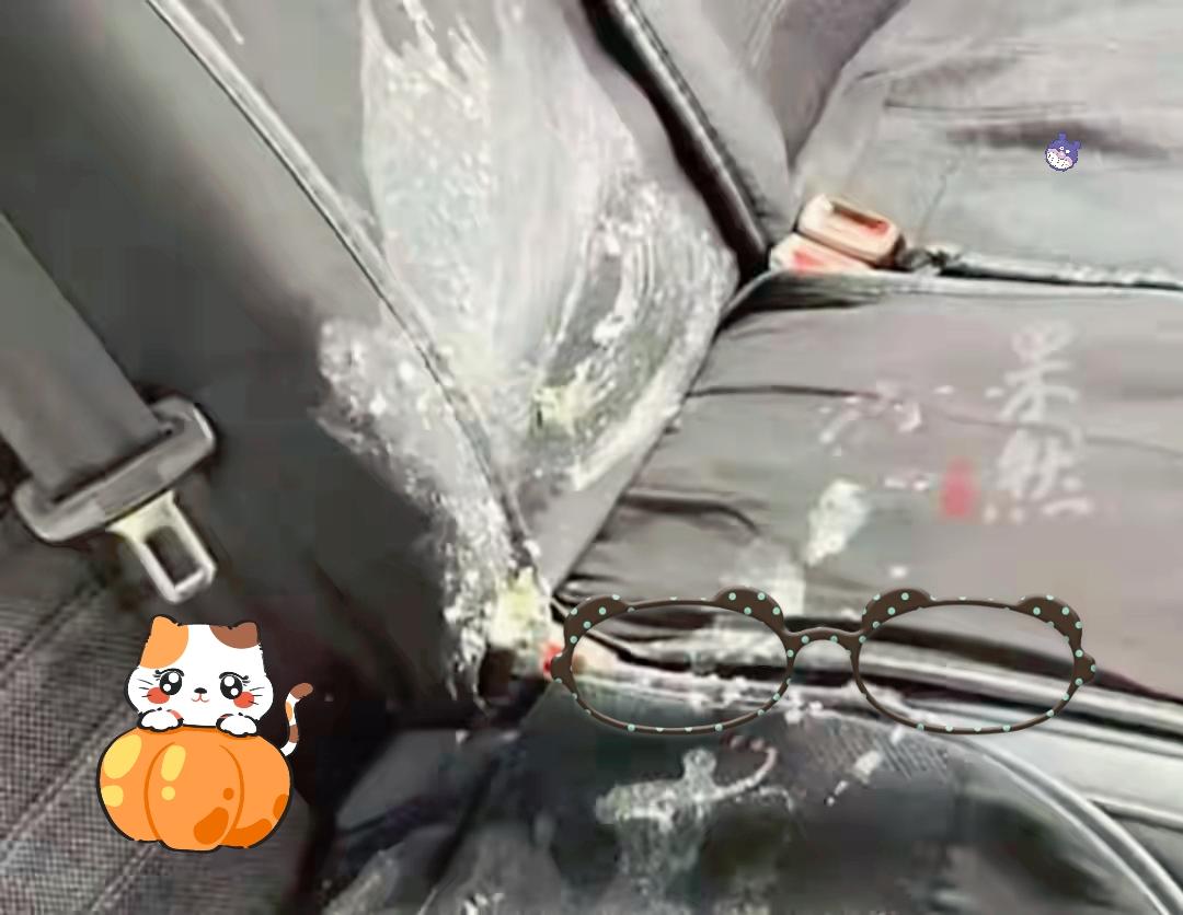 游客带着孩子在昆明打车，小孩晕车呕吐，家长主动提出赔偿，没想到却遭遇糟心事。
 