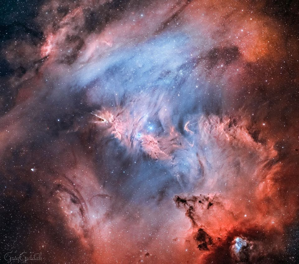 图中是一片恒星形成区，编号为NGC2264，距离地球约2700光年。图上还混杂着
