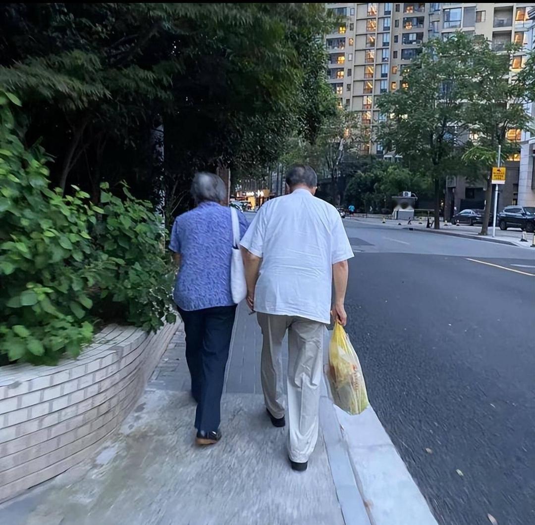 是冷漠还是默契？

我们都退休了，但说话反而少了。

去公园溜弯，她在前，我在后