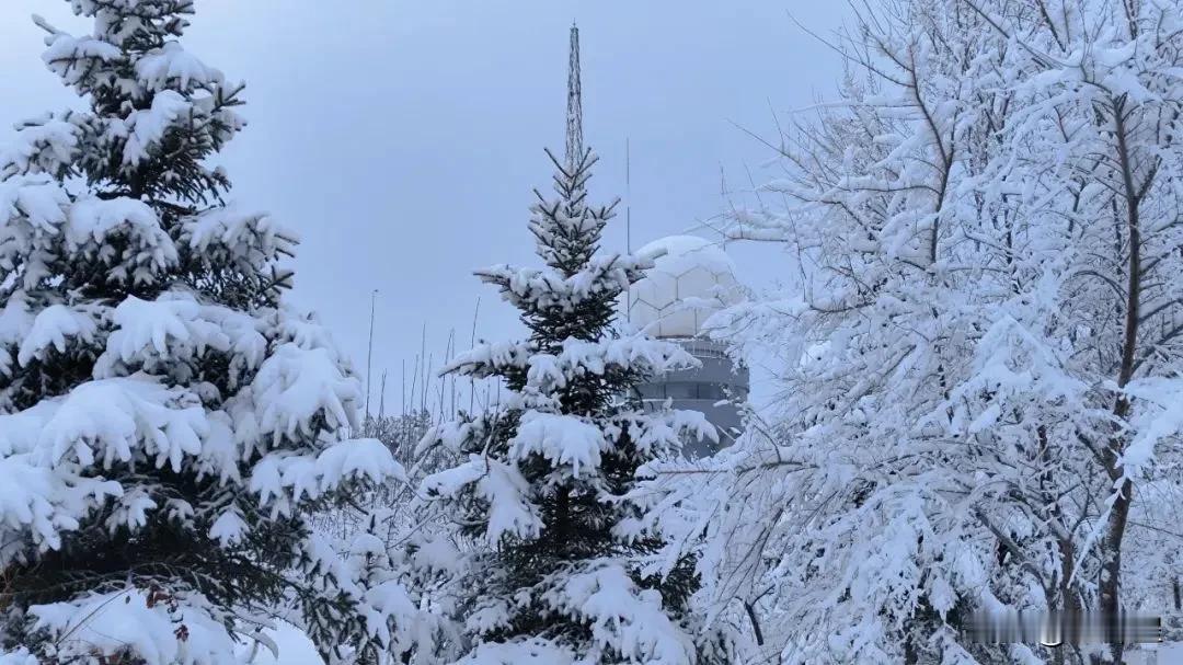 （原创）雪
从海淀到昌平的路上，雪还没有完全融化，被人们扫到铲到了路边。
路边的