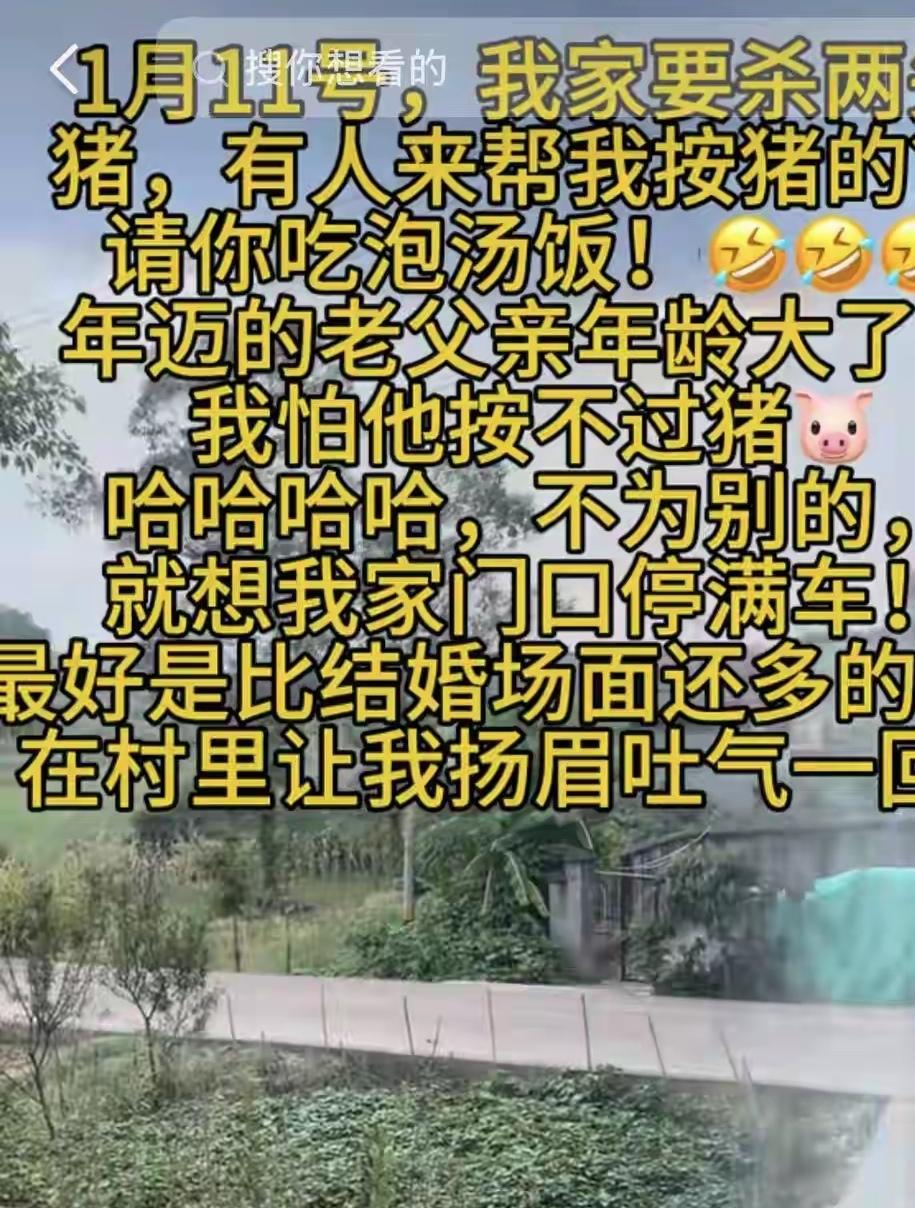 发布“按猪”视频的呆呆
为什么瞬间火爆全网？

元月初的某天，家住四川的女孩（网