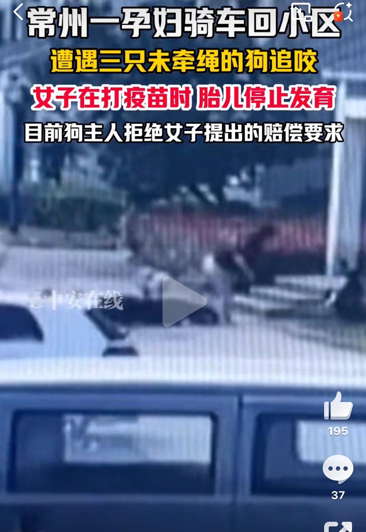 孕妇被未栓绳狗追咬致流产：文明养犬责任不容忽视！

一则令人心痛的新闻近日引发广