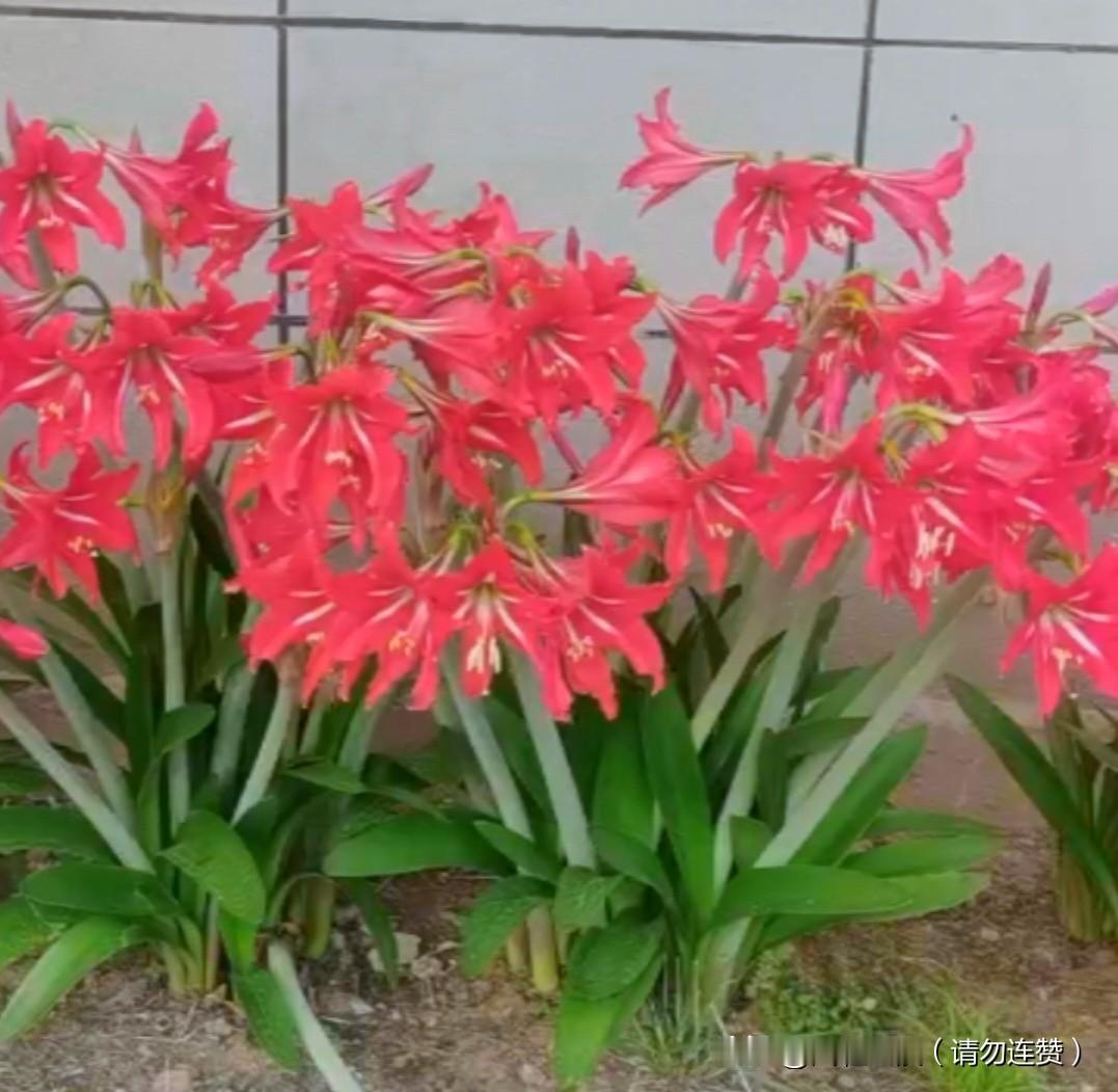 十多天没更新了，好多开心的，不开心的，惊喜的，惊吓的小事，准备慢慢分享给大家：