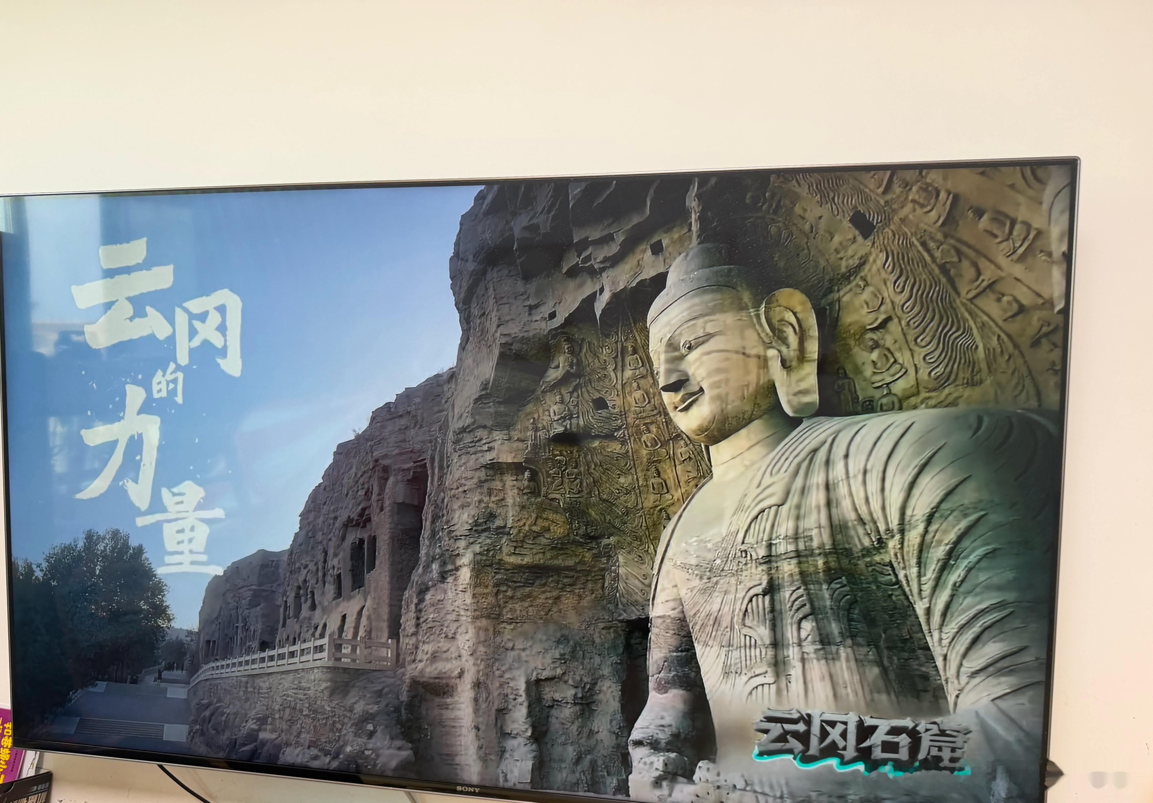 带孩子恶补知识 