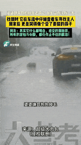 谁懂这种心口揪着疼的滋味，小动物分得清谁真心待它，也清楚自己是被人嫌弃丢掉的。