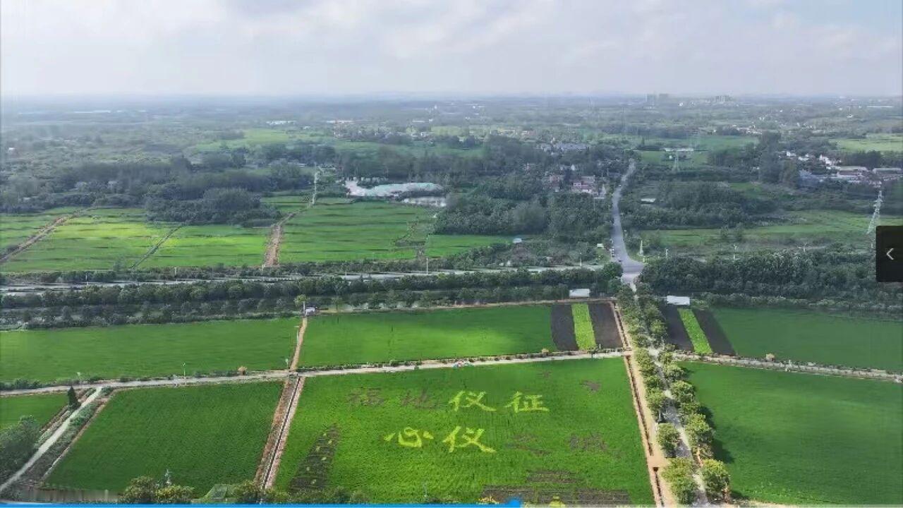 总要来趟江苏吧 【初秋下扬州：一半清透一半烟火】离离暑云散，袅袅凉风起。处暑一过