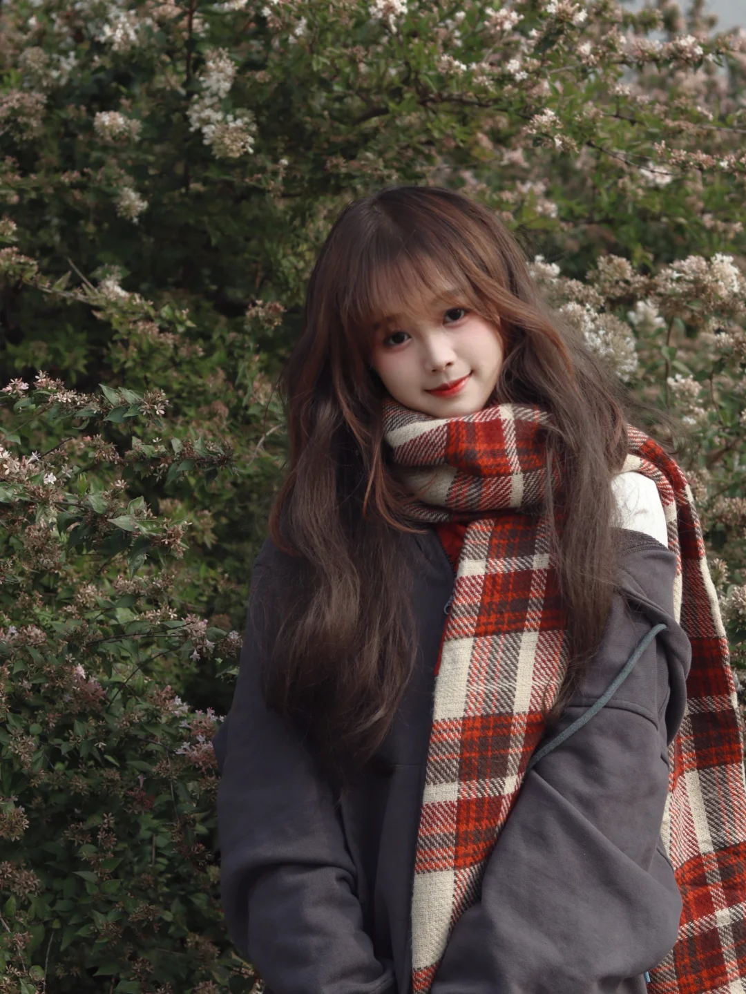 我们会在春天相见