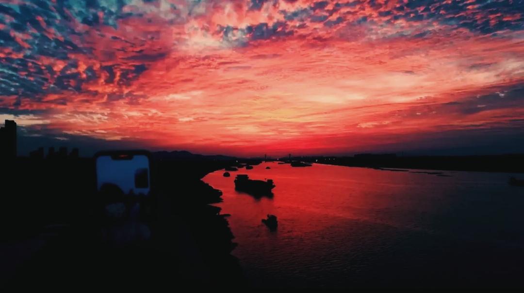 《蚌埠》—王安忆（二）
        太阳离开了地面,升到了河岸的柳树丛里船行