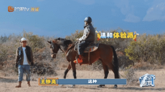 王铮亮马生第一次听到这种需求快乐老友记 亮哥骑马名场面！不喊加速只看风景拍镜头，