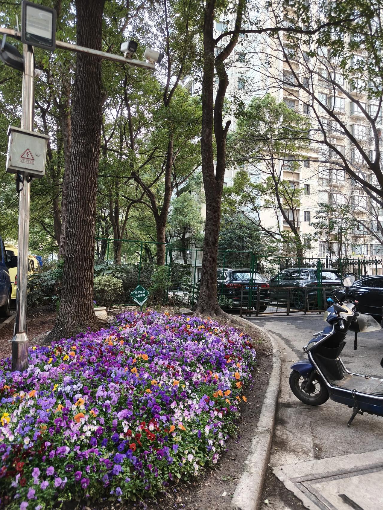 ☀️
美好的一天开始啦！

多念别人的好，常修自己的心。这世间​‎͏ ​
所有