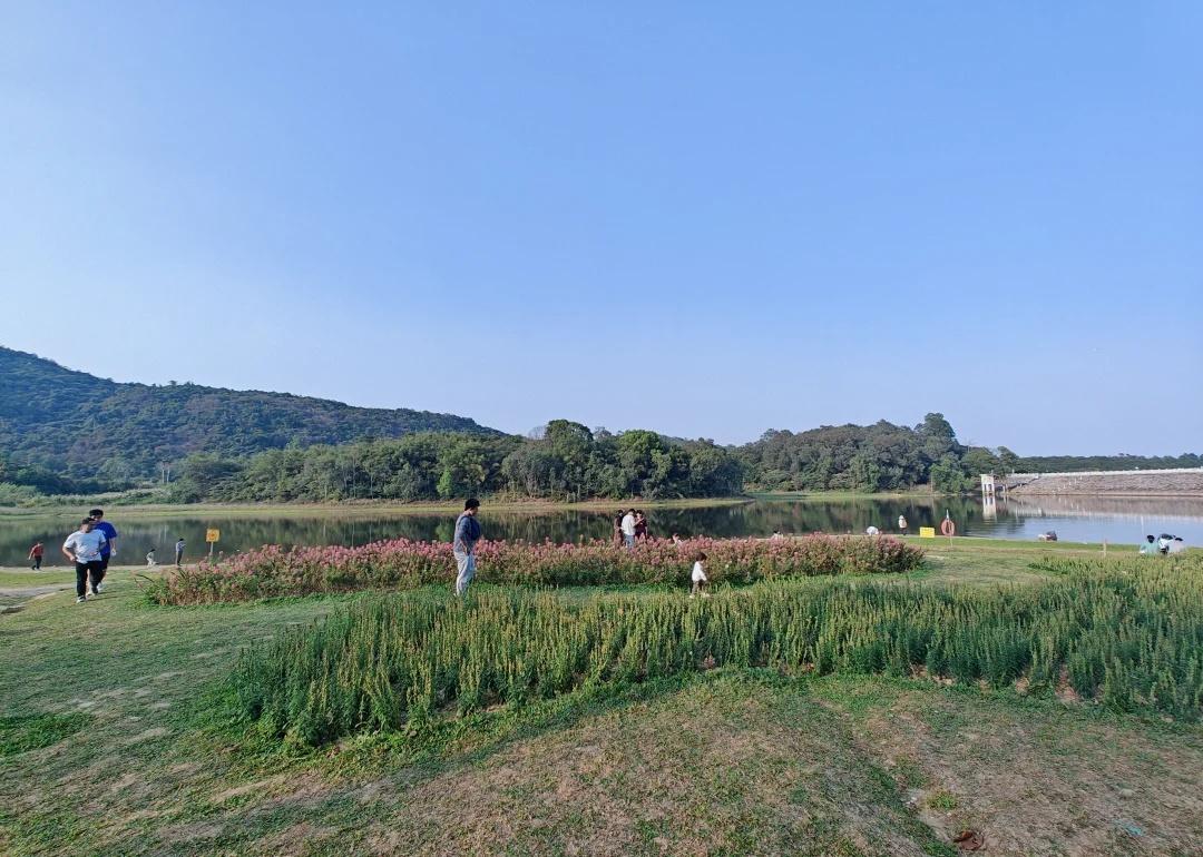 🌿快来感受黄山鲁的绿意盎然
🌳春日限定美景
👉 一进公园就被满屏的绿意暴击