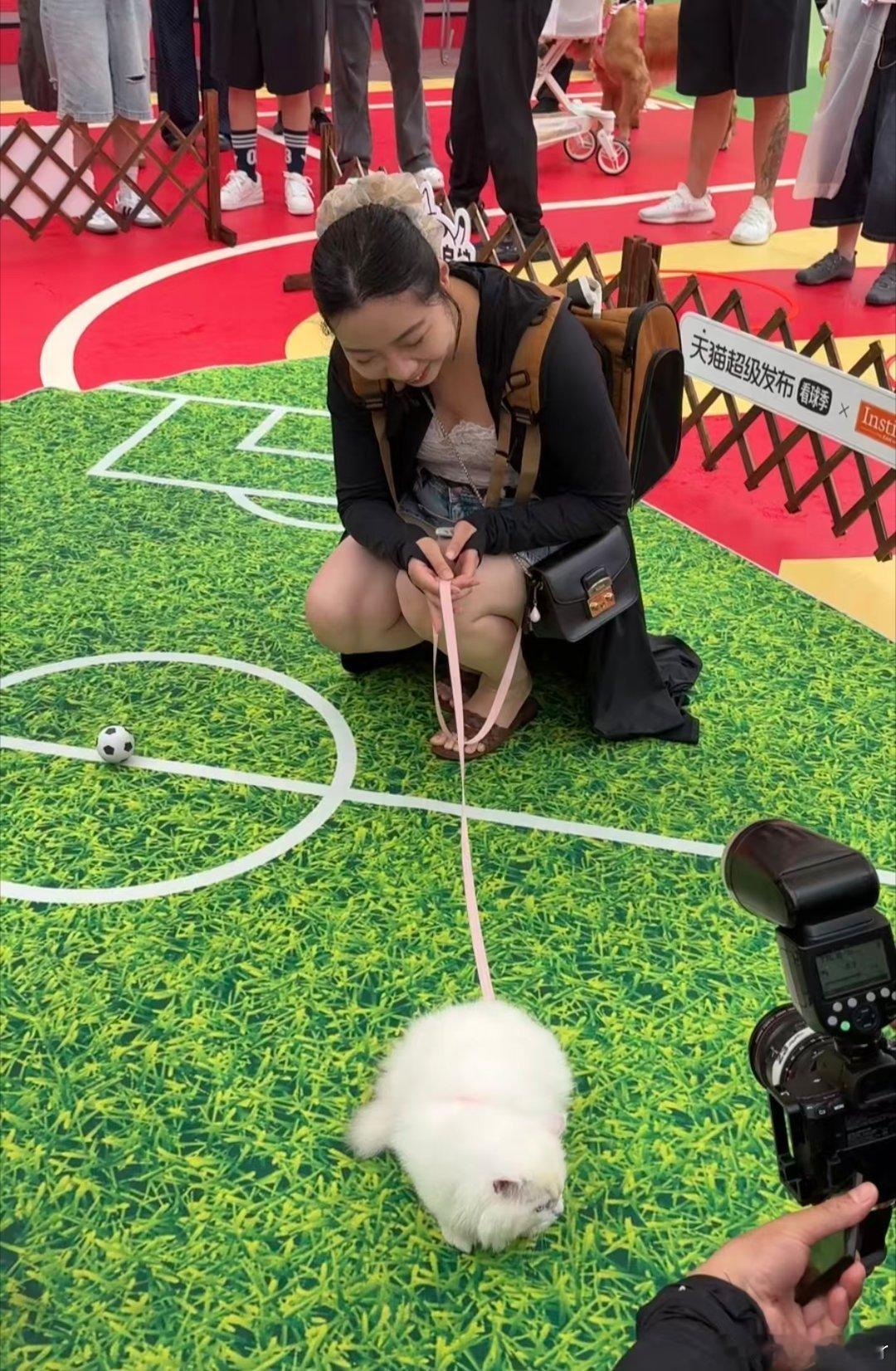 足球宝贝闯入宠物赛道萌宠化身足球宝贝软萌出圈，现场趣味满满。6月11日-6月18