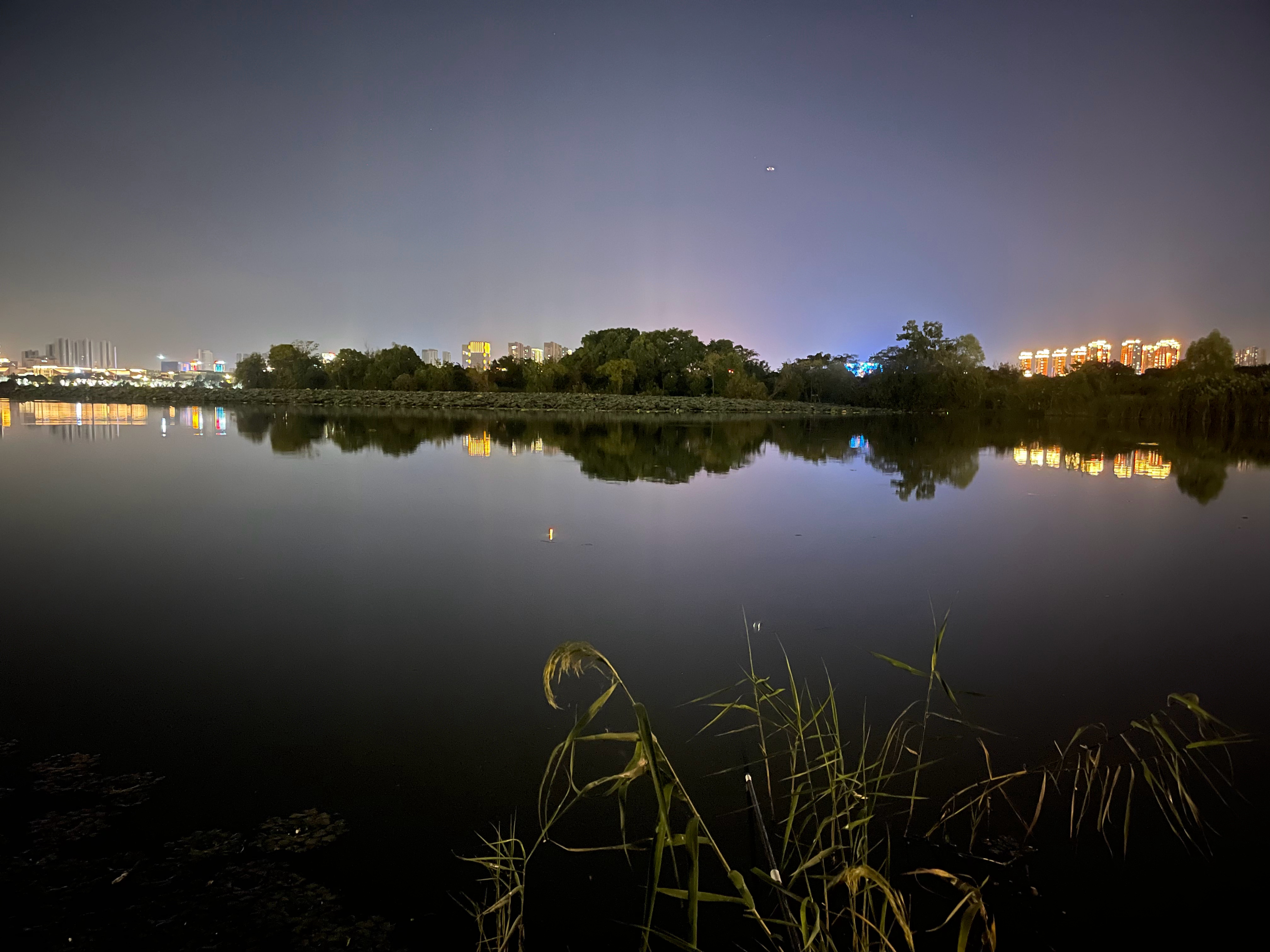 鱼儿也放假去了吗？今晚一口不口 #钓鱼#  ​​​