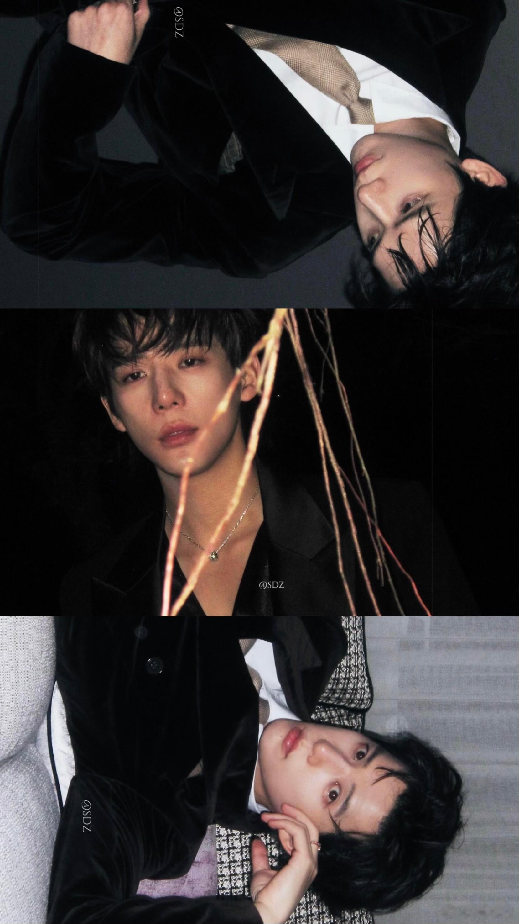 爱是天赋 我是废物 王安宇 