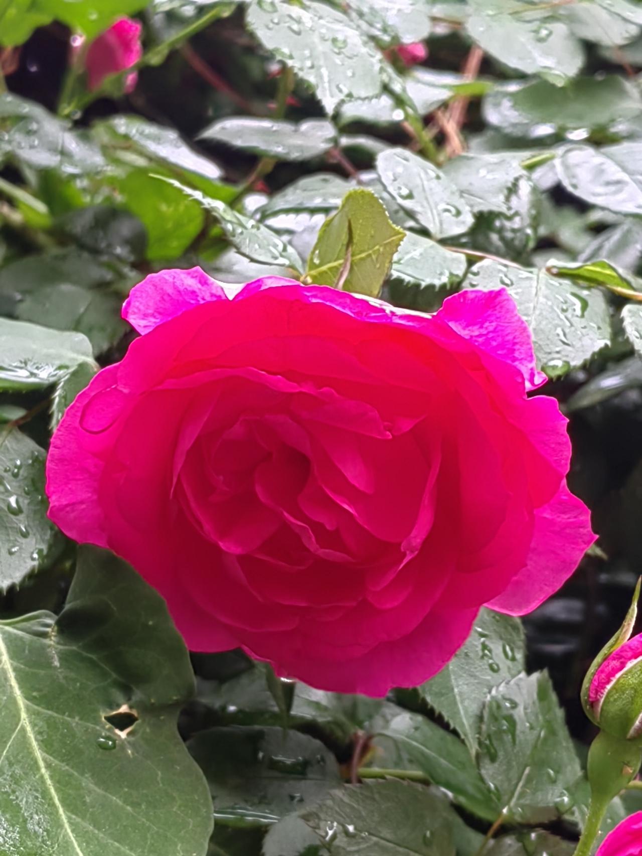 上联：水中观月色；请您对下联灯下看娇娘