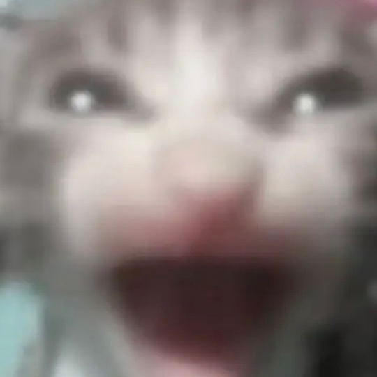 看到有条评论说楮英是陆千乔的阿贝贝