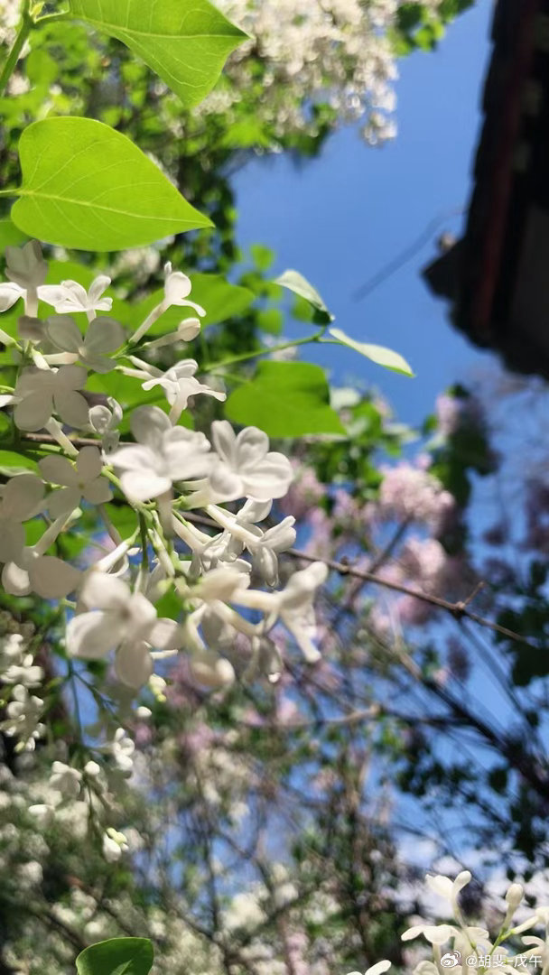 最近，调整一下心情和节奏； 